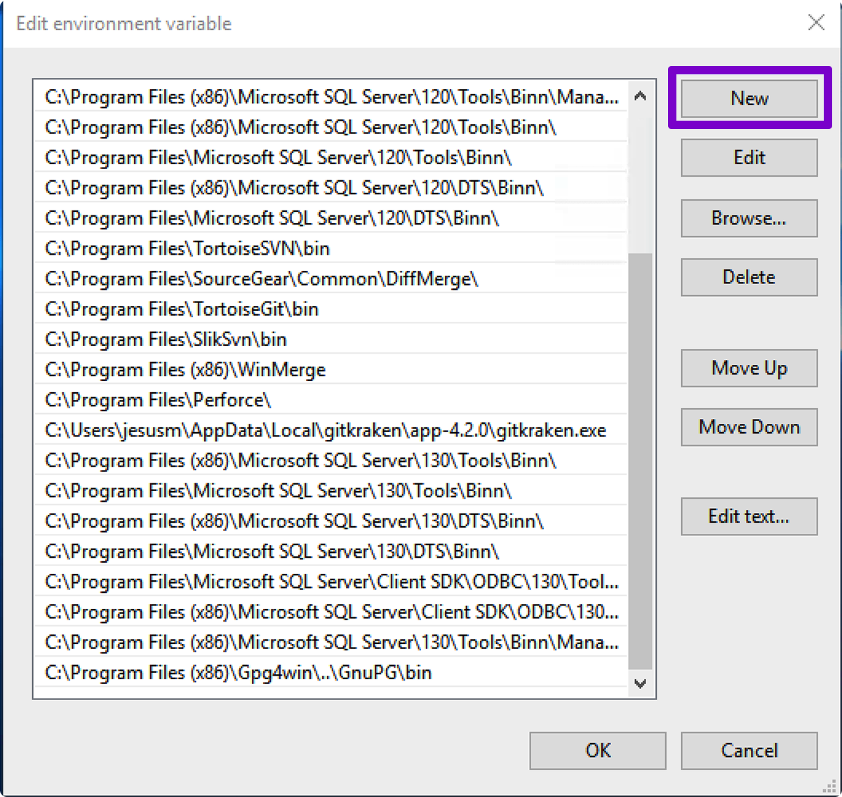 Add Path Environment Variable Step 3