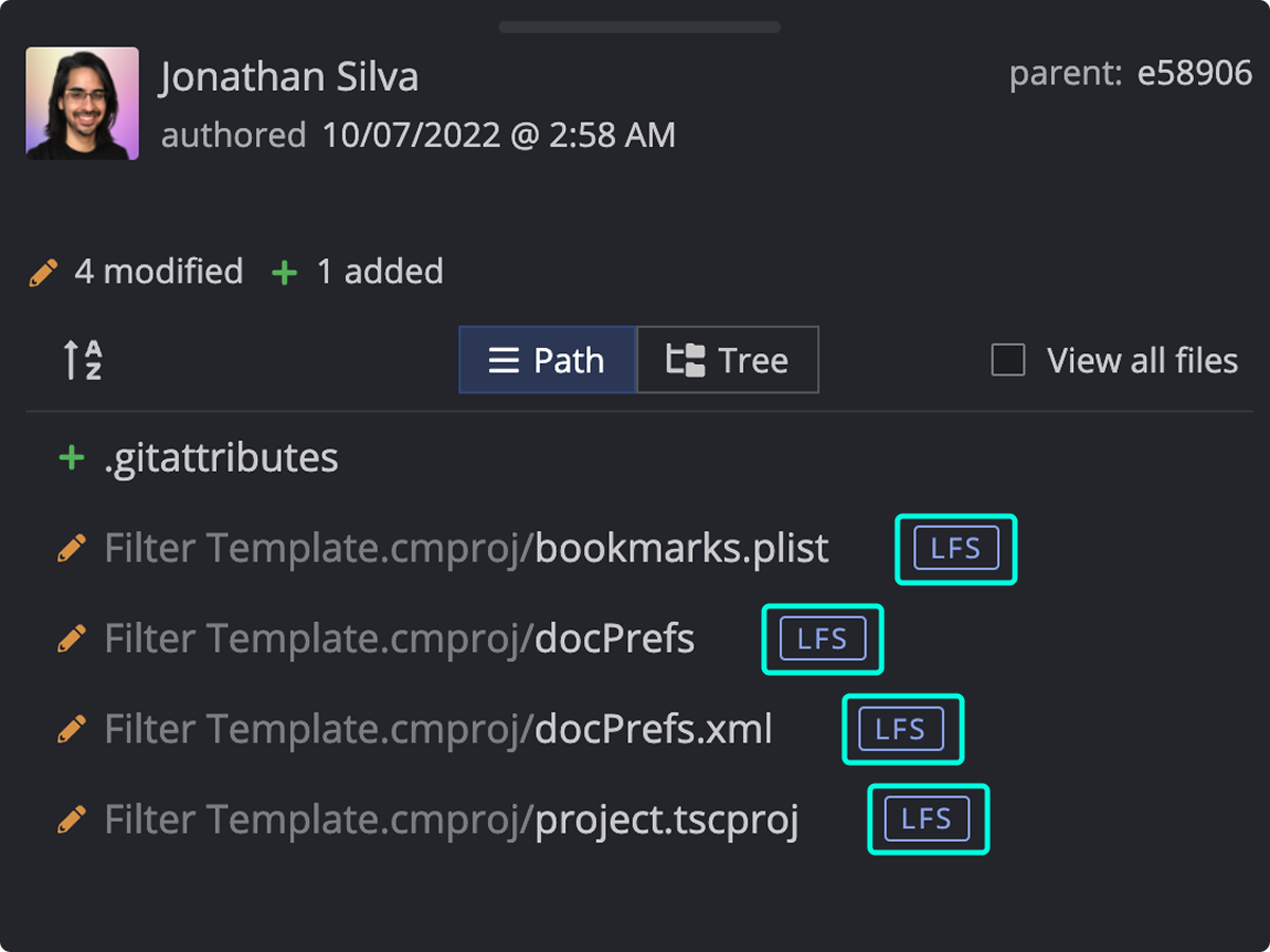 LFS tag in commit panel