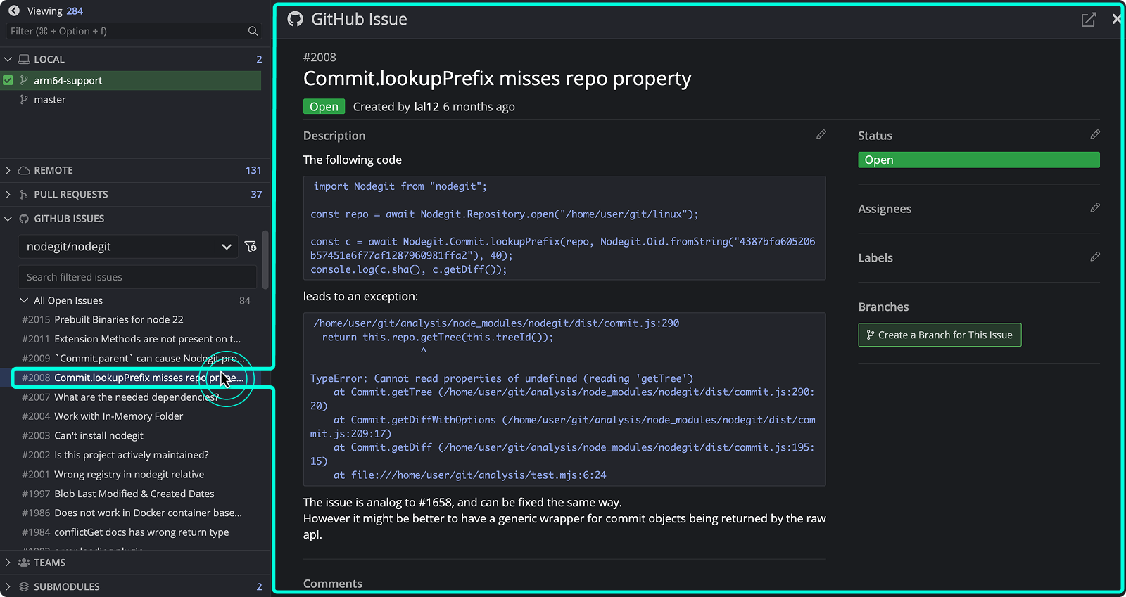 GitHub Issue Details View
